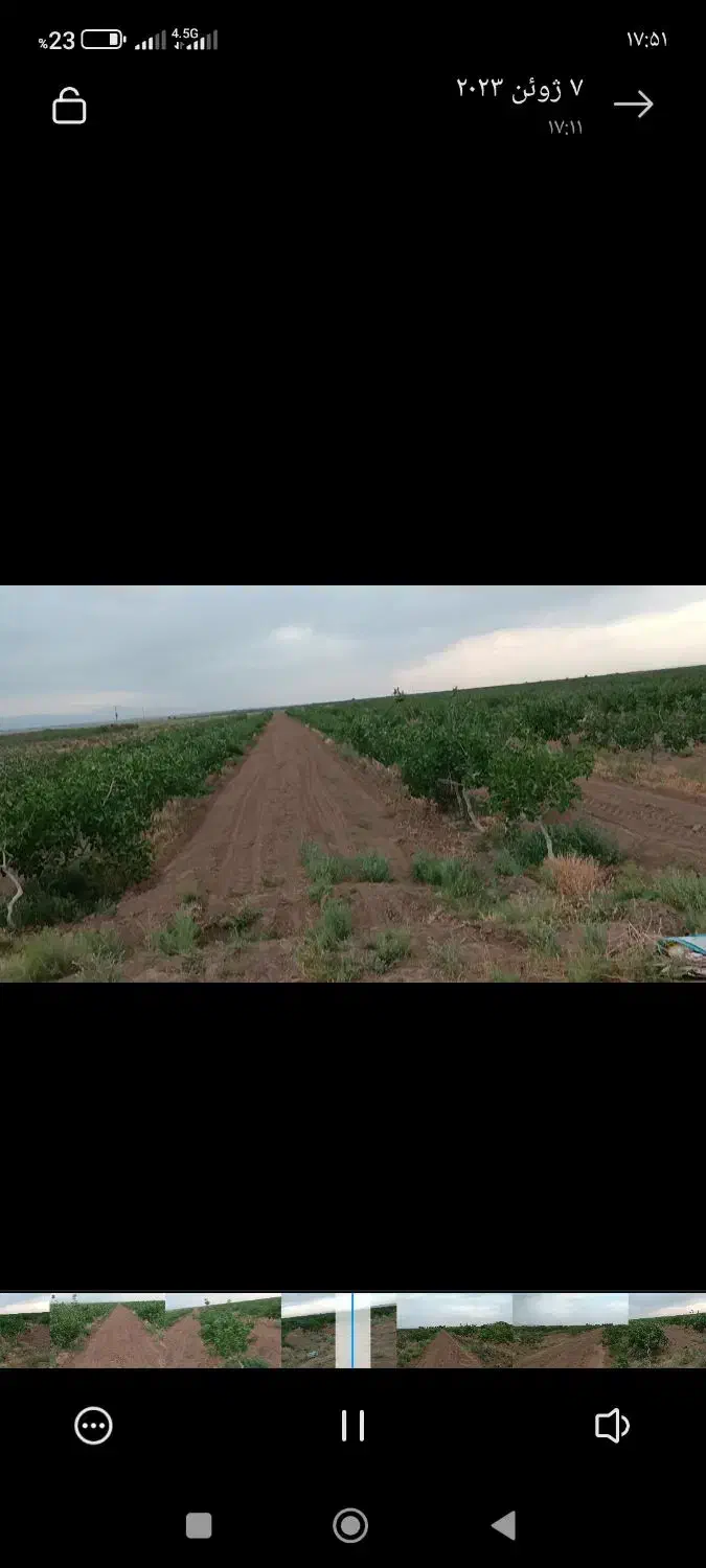 باغ پسته|فروش زمین و ملک کلنگی|نوده انقلاب, |دیوار