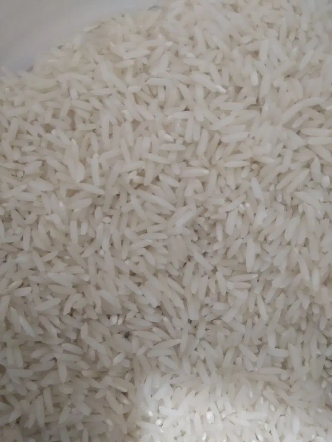 فروش برنج هاشمی|خوردنی و آشامیدنی|آبش احمد, |دیوار