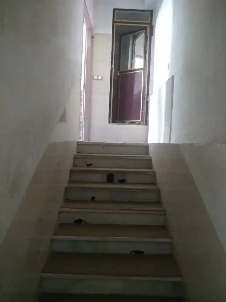 فروش آپارتمان ۵۰ متری ۱ خوابه طبقه اول|فروش آپارتمان|خورموج, |دیوار