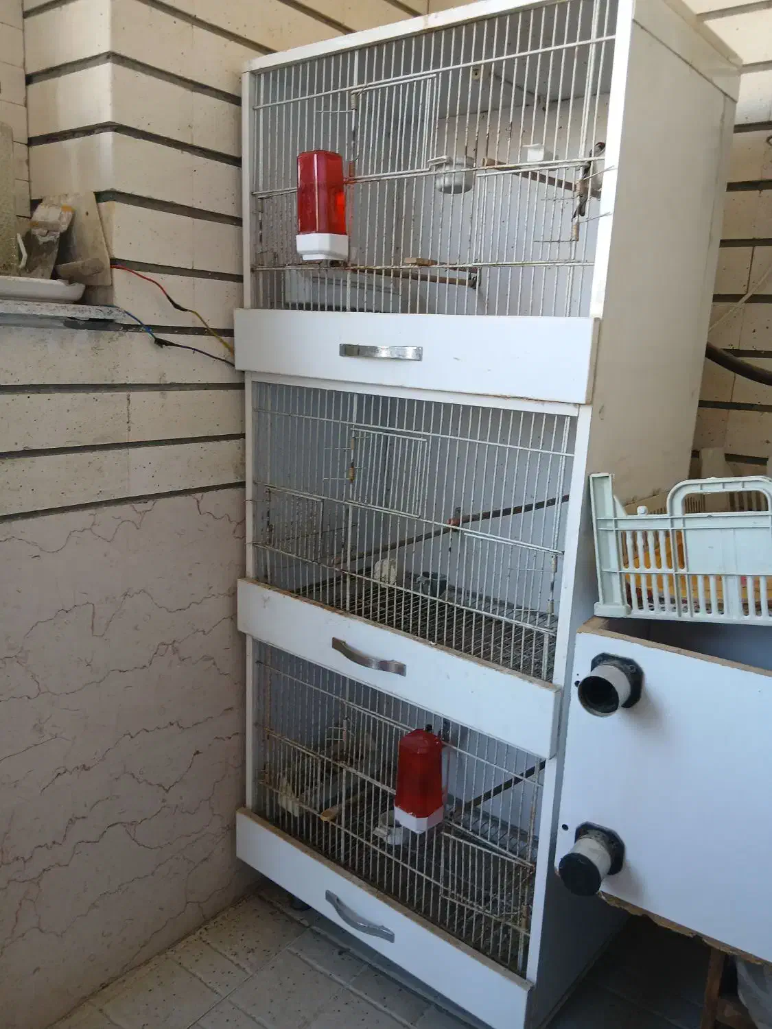 قفس پرنده|لوازم جانبی حیوانات|کرمانشاه, |دیوار