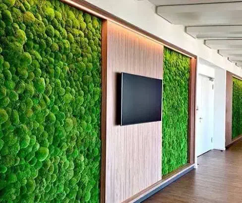 طراحی و اجرای ماس وال دیوار خزه‌ای|گل و گیاه طبیعی|کرج, حصارک بالا|دیوار