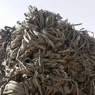 خرید طیف ضایعات|خدمات باغبانی و درختکاری|قزوین, |دیوار