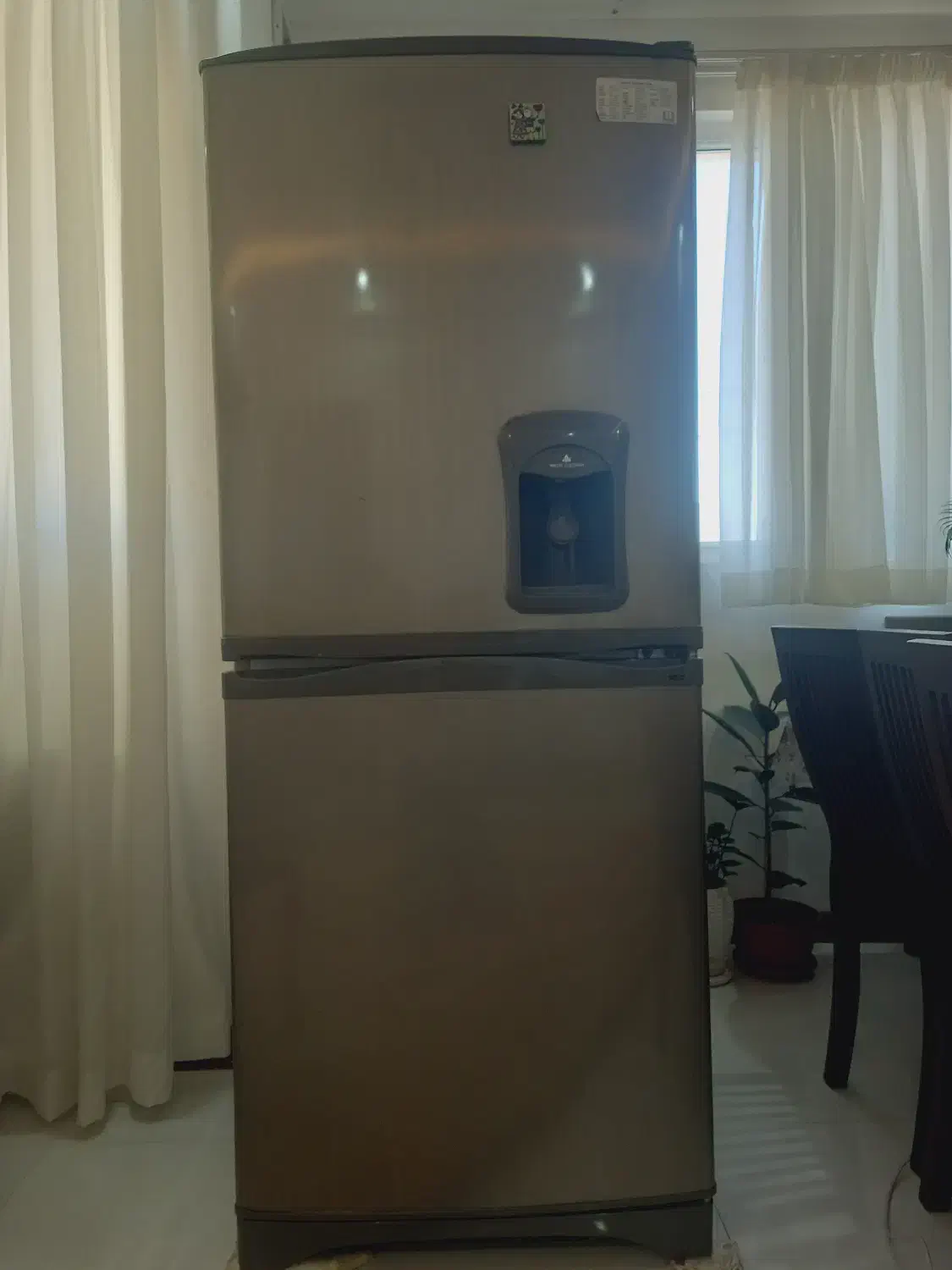 یخچال فریزر اسنوا|یخچال و فریزر|شیراز, رکن‌آباد|دیوار