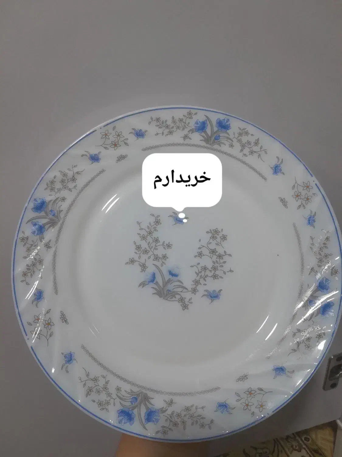 بشقاب ارکوپال|ظروف سرو و پذیرایی|بروجرد, |دیوار