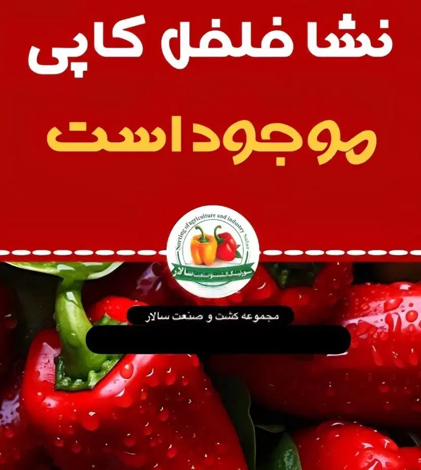 نشا فلفل کاپی موجود است|گل و گیاه طبیعی|بیکاه, |دیوار