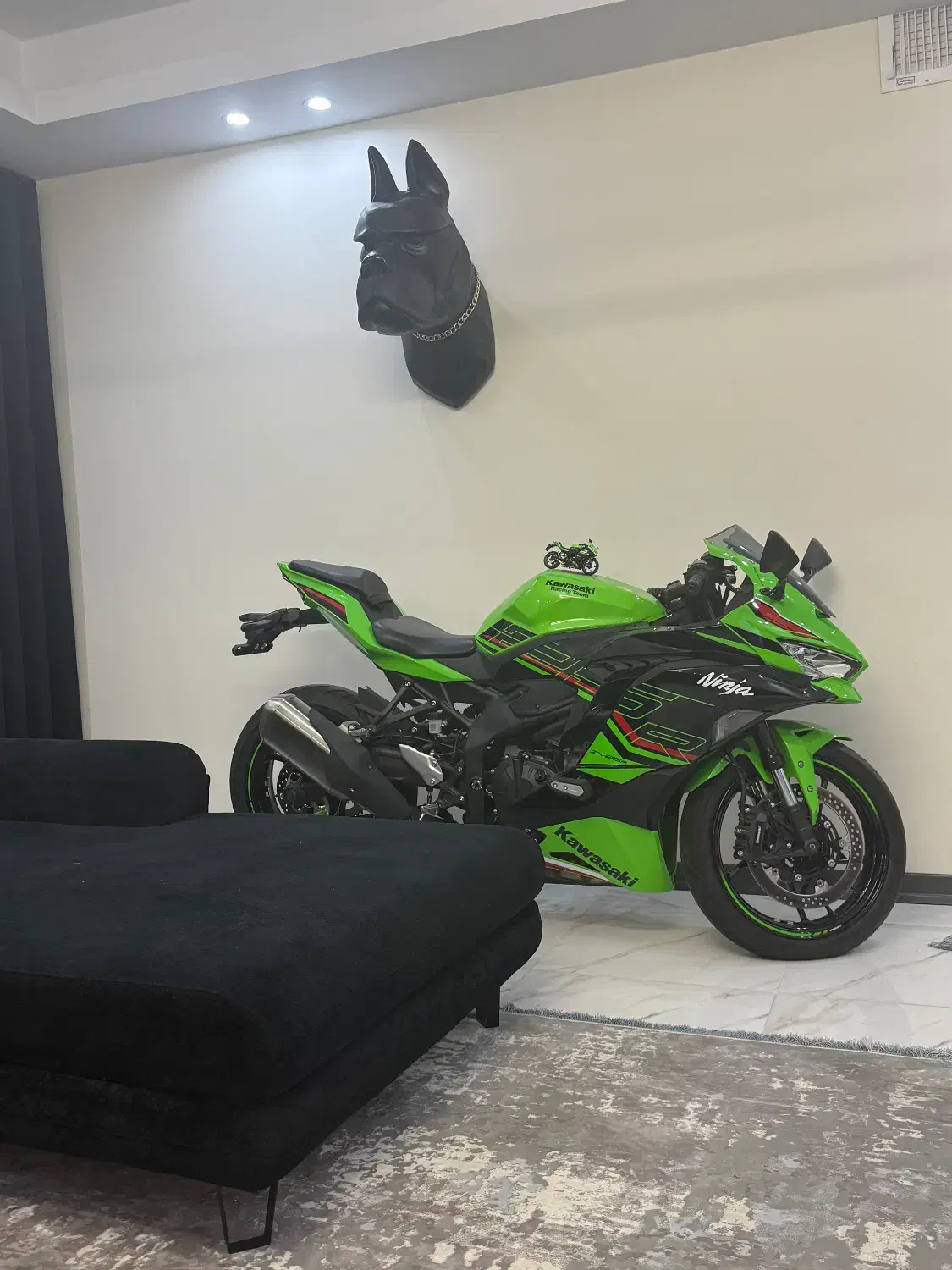 Zx 25 r|موتورسیکلت|تهران, مهرآباد جنوبی|دیوار