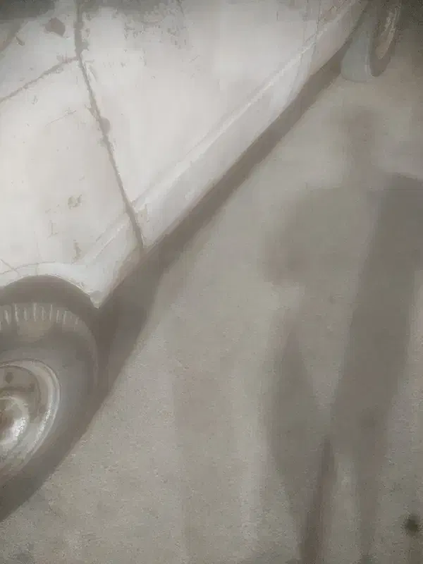 بار تو شهری حمل نقل وسایل|خدمات حمل و نقل|زابل, |دیوار