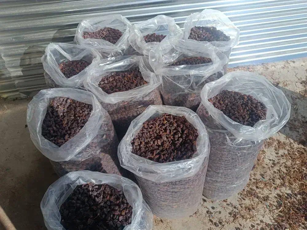 مویز|عمدهفروشی|نورآباد ممسنی, |دیوار