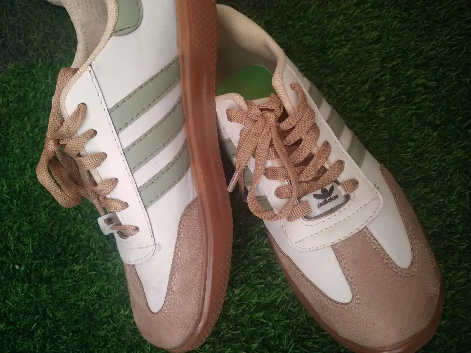 کفش سامبا|کیف، کفش، کمربند|تربت جام, شهید غلام زاده|دیوار