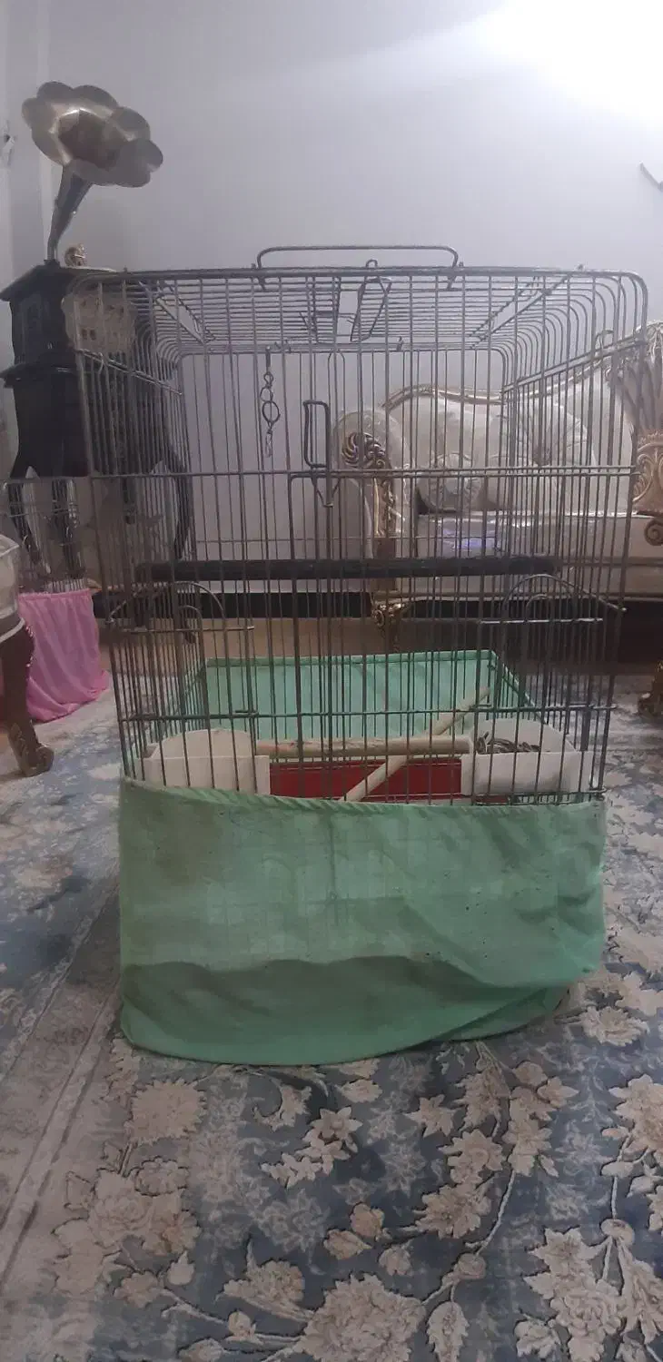 ۲ عدد قفس بزرگ|لوازم جانبی حیوانات|تهران, افسریه شمالی|دیوار
