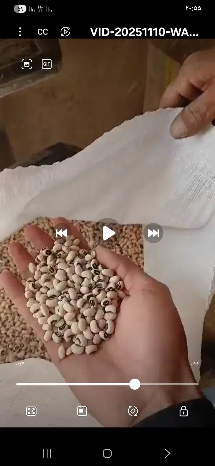 لوبیا چشم بلبلی|خوردنی و آشامیدنی|محمدشهر, محمدشهر|دیوار