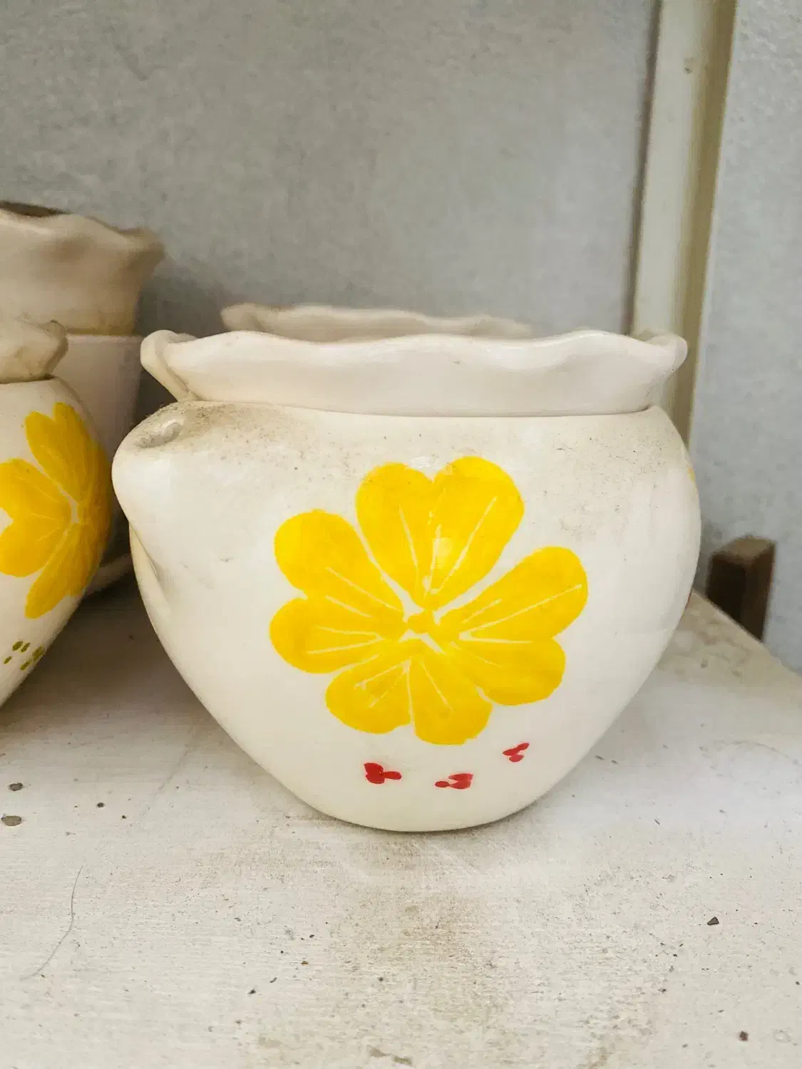 گلدان بنفشه آفریقایی|گل و گیاه طبیعی|تهران, صادقیه|دیوار