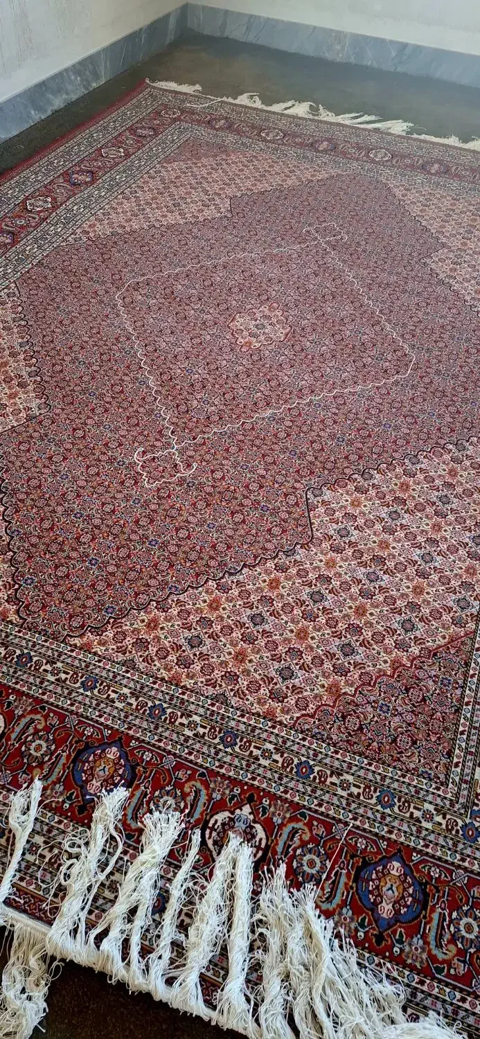 فرش ماهی ۵۰ رج|فرش|سراب, |دیوار