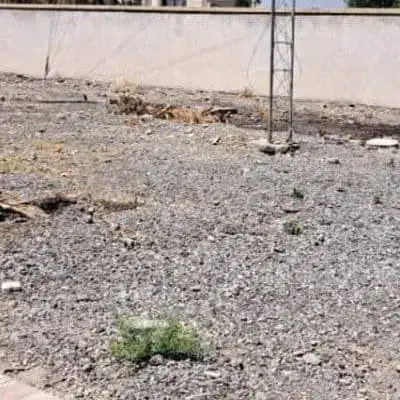 زمین تجاری جنب تامین اجتماعی|فروش مغازه و غرفه|سوسنگرد, |دیوار