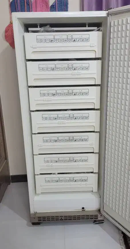 یخچال|یخچال و فریزر|پردیس, فاز ۴|دیوار