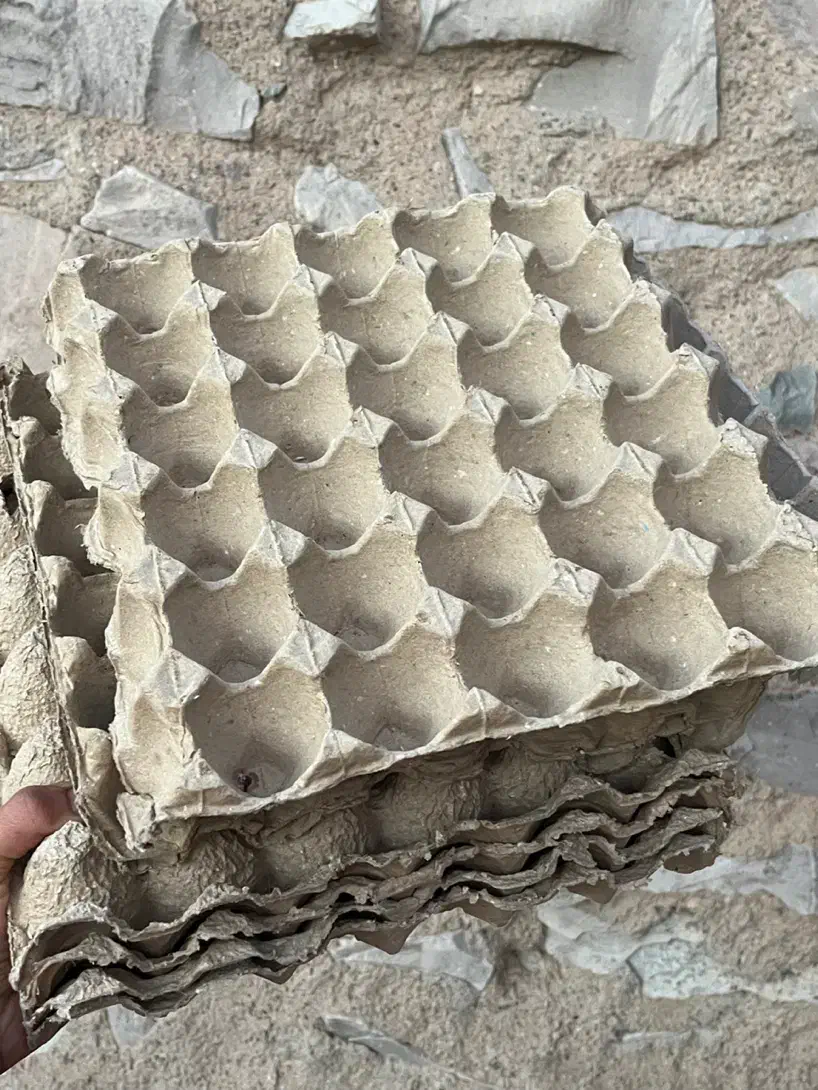 شانه تخم مرغ ۲/۵۰۰ تومن|ظروف نگهدارنده، پلاستیکی، یک‌بارمصرف|بیرجند, |دیوار