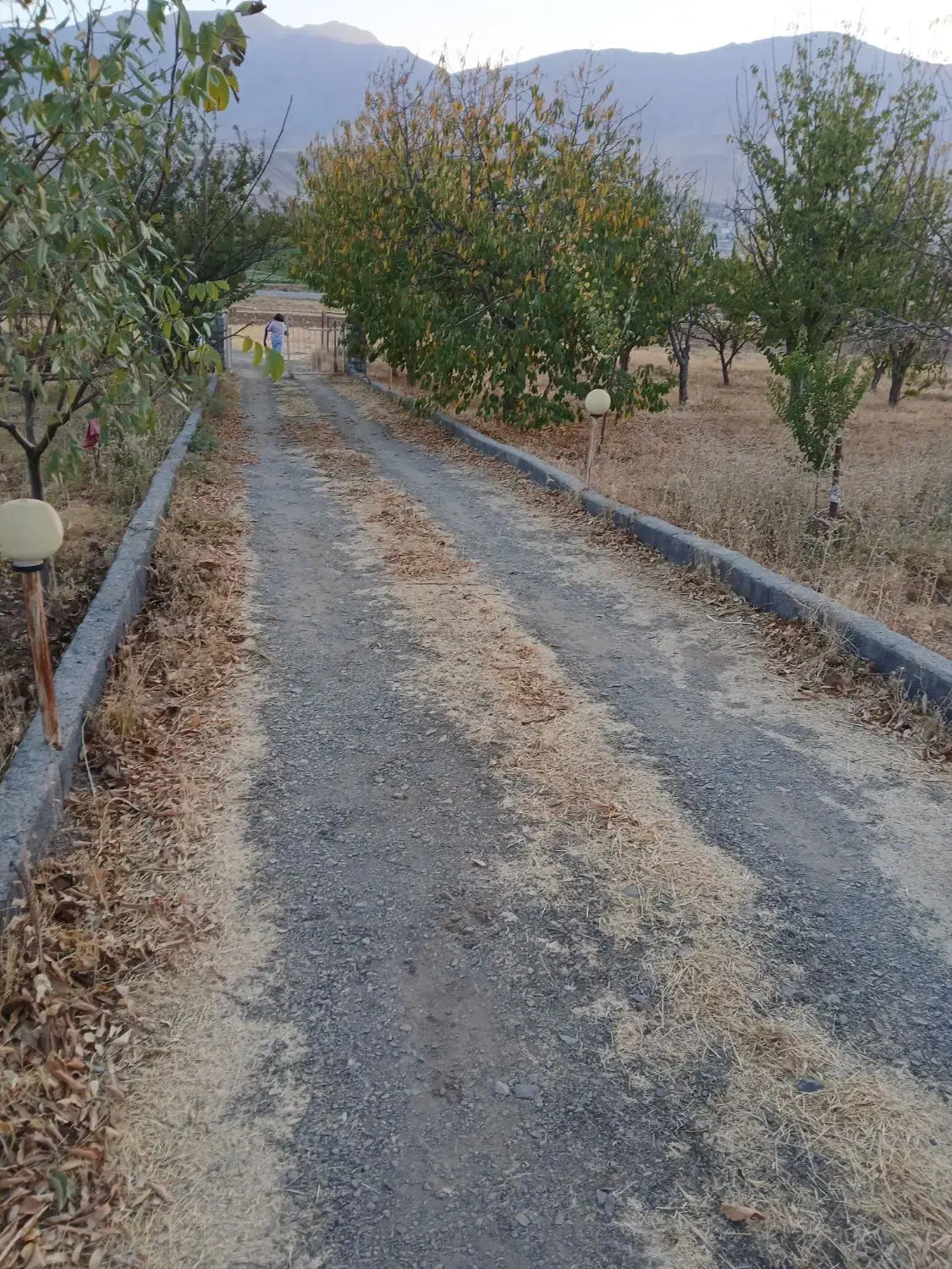 فروش باغ دو راهی لیلمانج|فروش دفتر صنعتی، کشاورزی، تجاری|سنقر, |دیوار