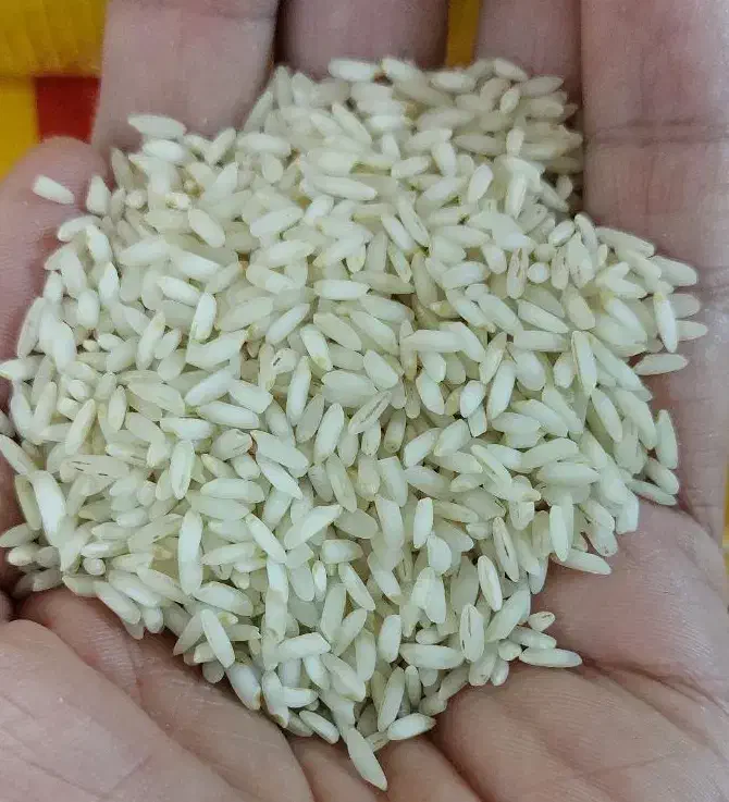 برنج عنبر بو عطیه|خوردنی و آشامیدنی|قم, پردیسان|دیوار