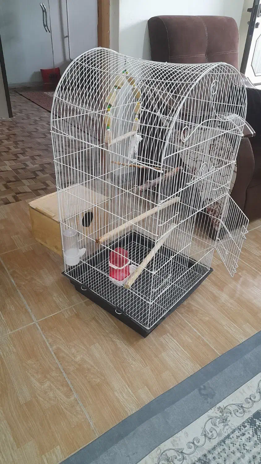 قفس پرنده بزرگ|لوازم جانبی حیوانات|رشت, کوی قدس|دیوار