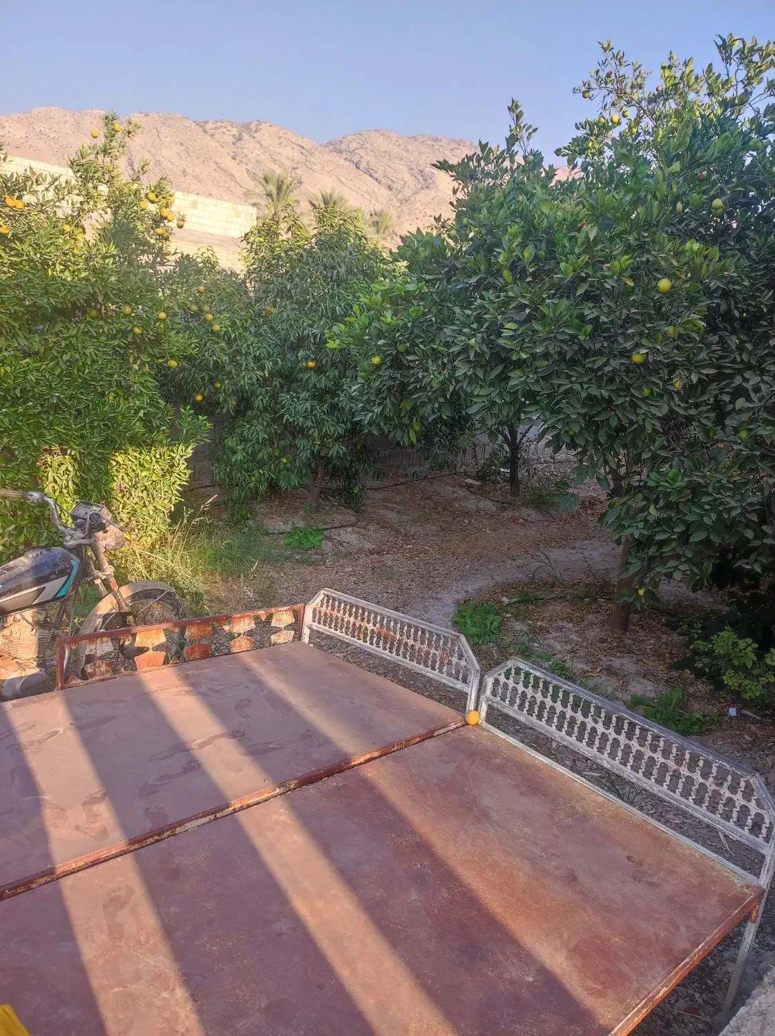 اجاره روزانه|اجارهٔ کوتاه‌مدت ویلا و باغ|کازرون, |دیوار