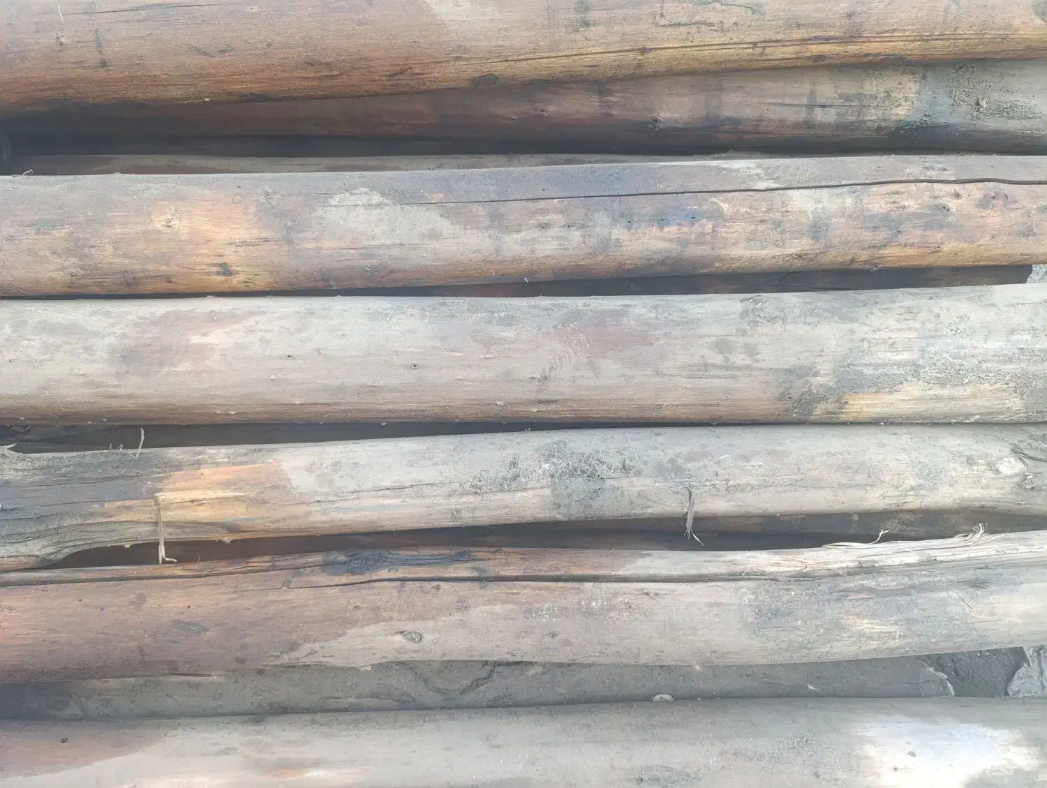 چوب سقف خانه بدون فرسودگی خیلی هم خوب|مصالح و تجهیزات ساختمان|شمیل, |دیوار