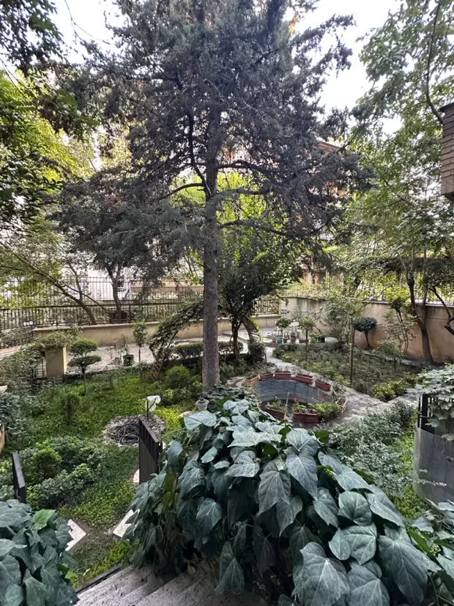 ۲۲۵ متر نیاوران /مشارکت در ساخت/ بر ۱۵|مشارکت در ساخت املاک|تهران, نیاوران|دیوار