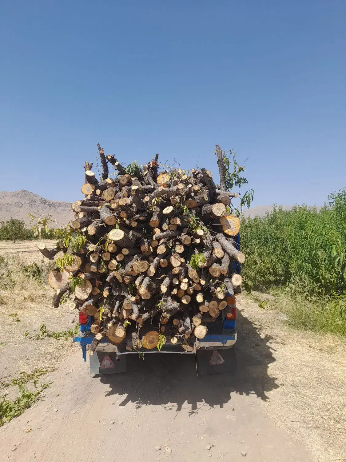 خرید برش انواع چوب|خدمات باغبانی و درختکاری|نهاوند, |دیوار