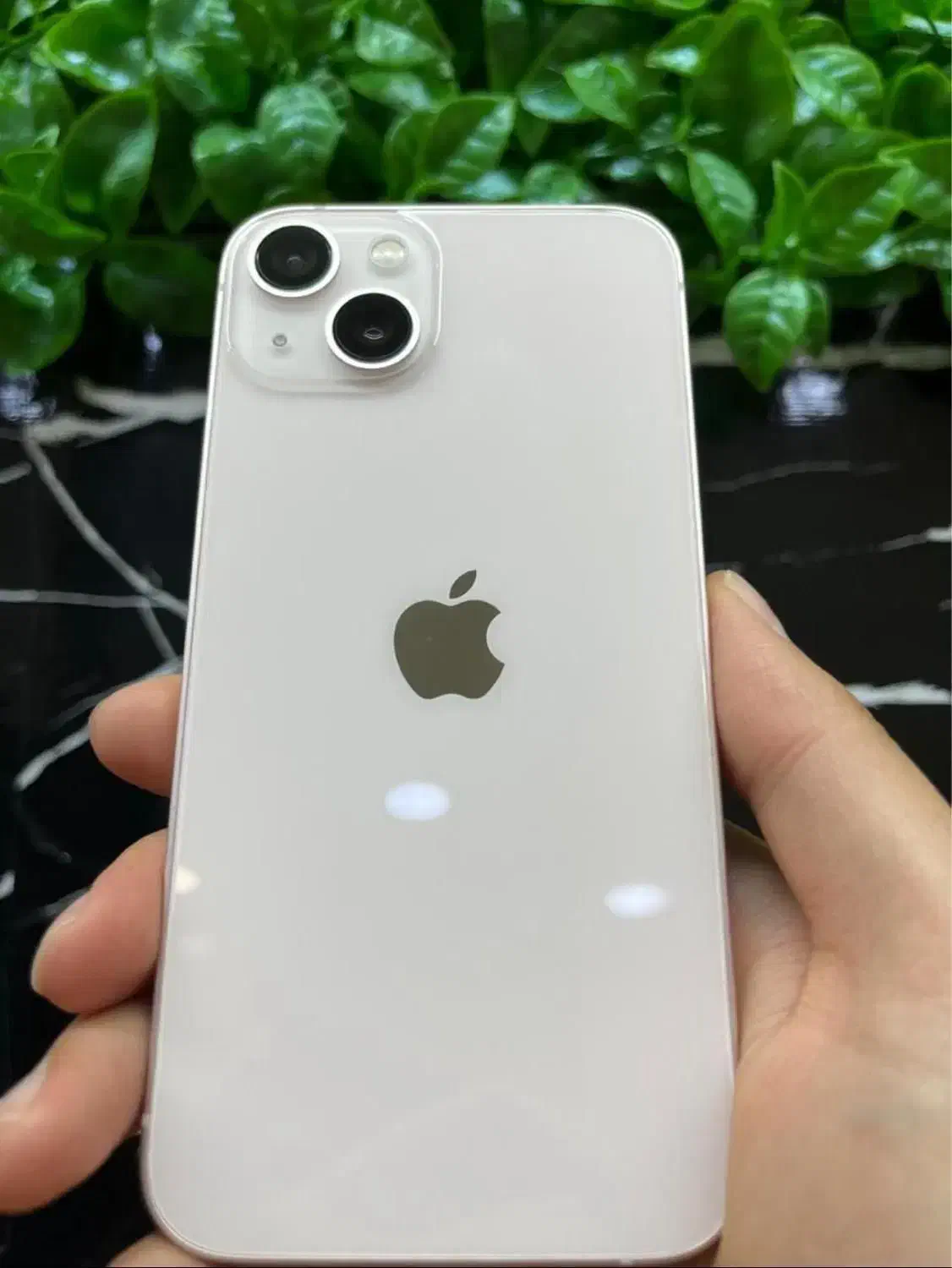اپل iPhone 13 با حافظهٔ ۱۲۸ گیگابایت|موبایل|بم, |دیوار