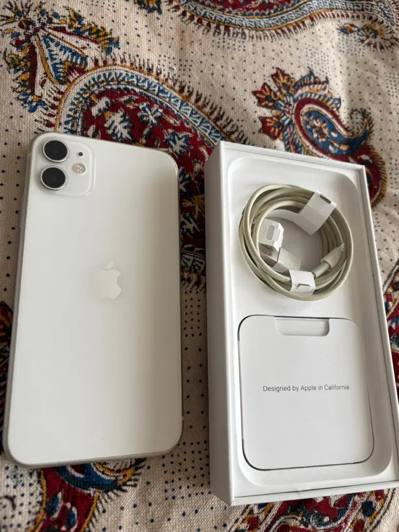 ایفون ۱۱|موبایل|تهران, پرستار|دیوار