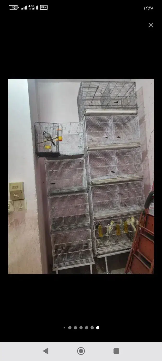 عنوان قفس پرنده|لوازم جانبی حیوانات|بوشهر, |دیوار