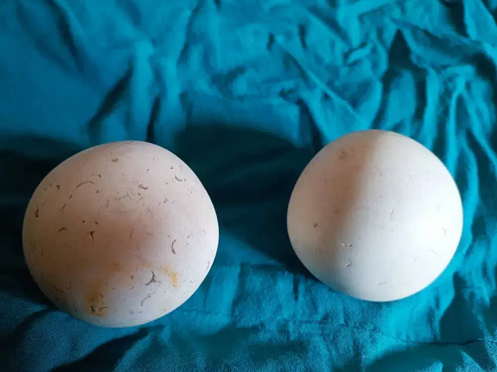 سنگ الماس آسیاب|کلکسیون اشیاء عتیقه|زنجان, |دیوار