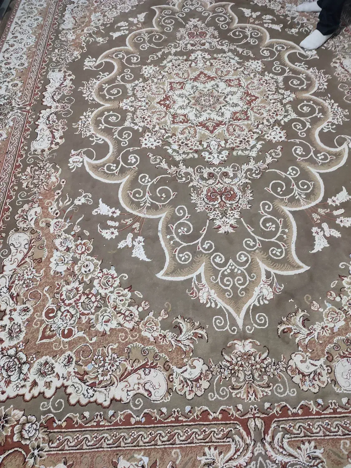 فرش ۹متری|فرش|رشت, کوی فرهنگیان|دیوار