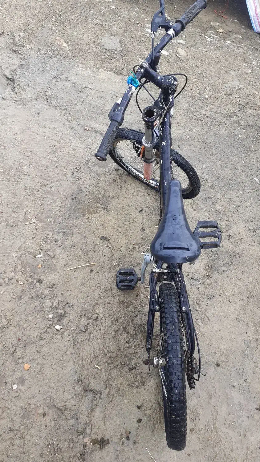 دندی|دوچرخه، اسکیت، اسکوتر|سنقر, |دیوار