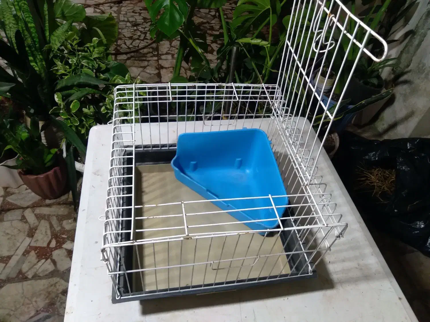 ققفس|لوازم جانبی حیوانات|رشت, علی آباد|دیوار