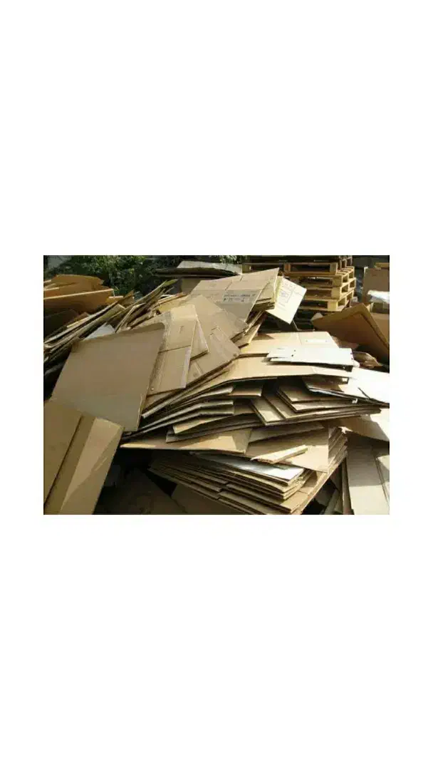 خرید کارتون|عمده‌فروشی|گلبهار, شهر جدید گلبهار|دیوار