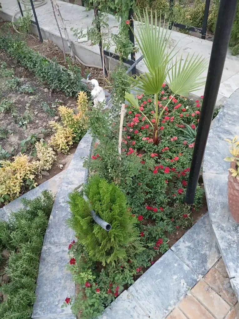 خدمات باغبانی باغچه کاری تعویض خاک گلدون گل وگیا|خدمات باغبانی و درختکاری|پردیس, فاز ۱۱|دیوار