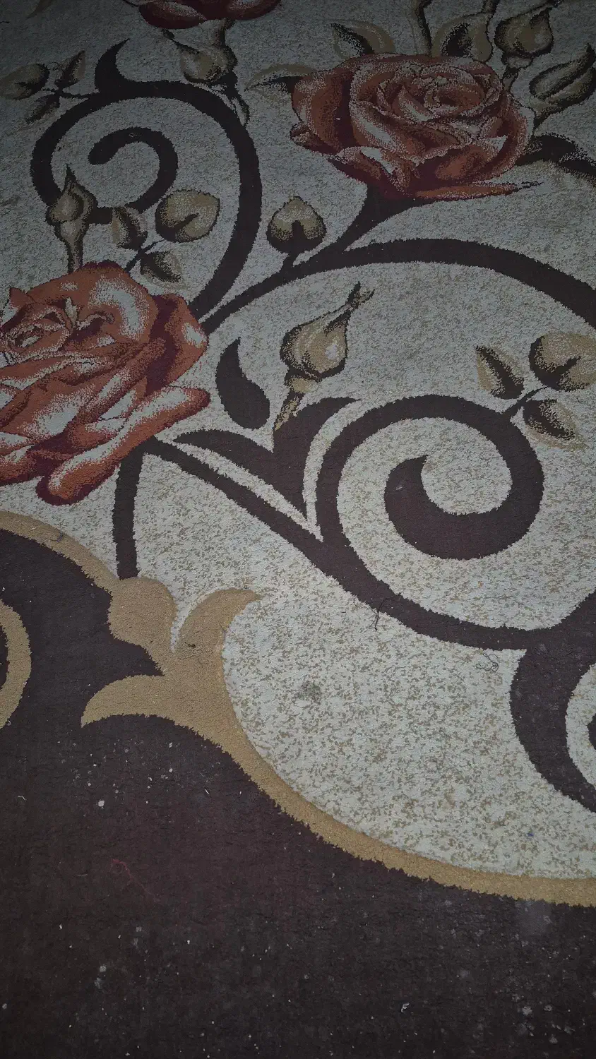 فرش ۶ متری تمیز|فرش|اصفهان, سپاهان‌شهر|دیوار