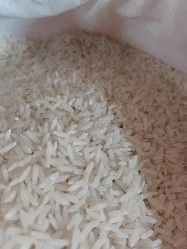 عرضه مستقیم برنج شمال|خوردنی و آشامیدنی|مراغه, |دیوار