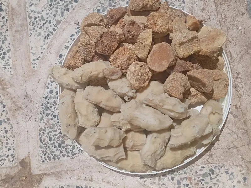 قروت|گل و گیاه طبیعی|بیرجند, |دیوار
