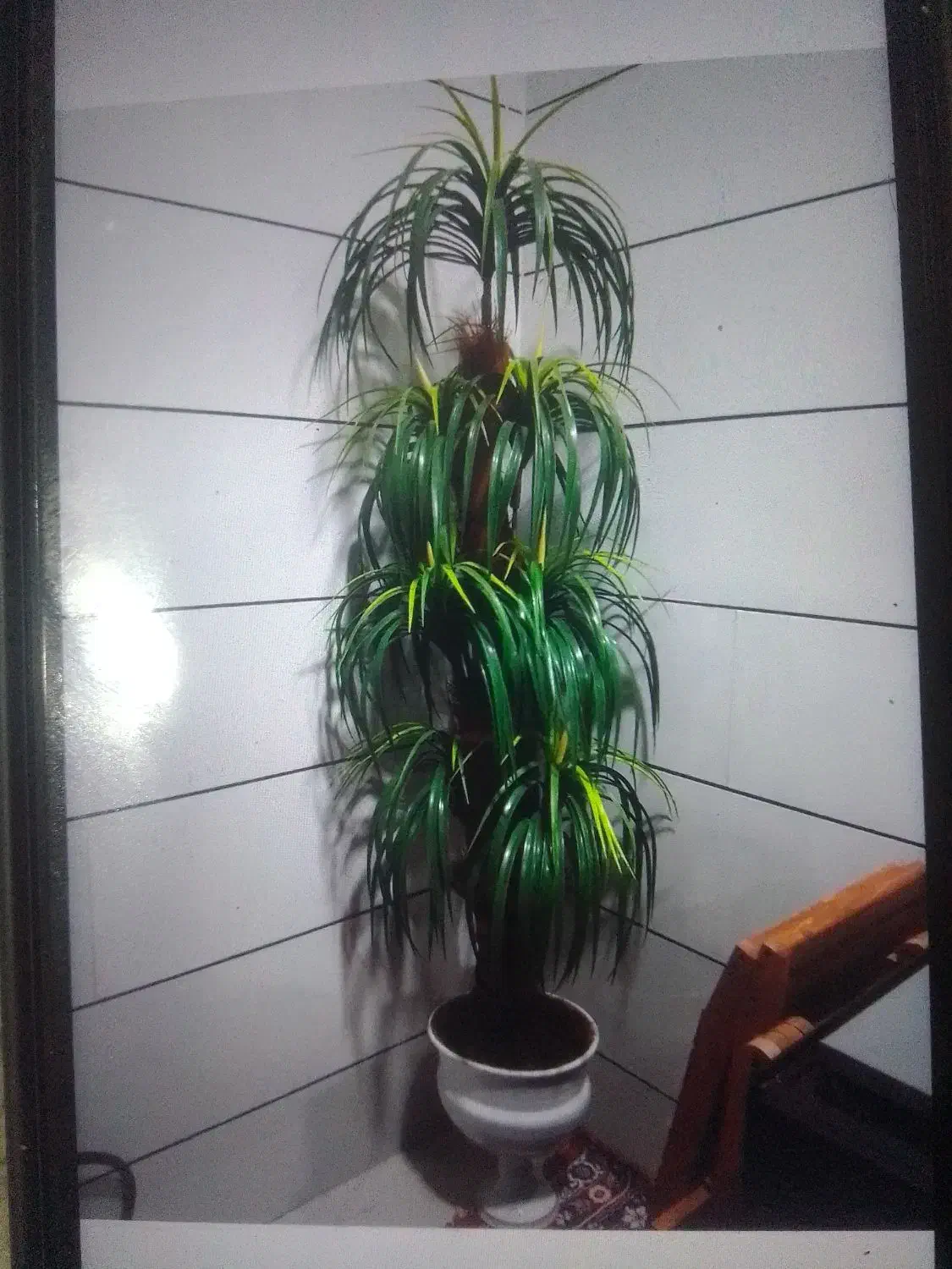 گل مصنوعی سالم|گل مصنوعی|کوهدشت, |دیوار