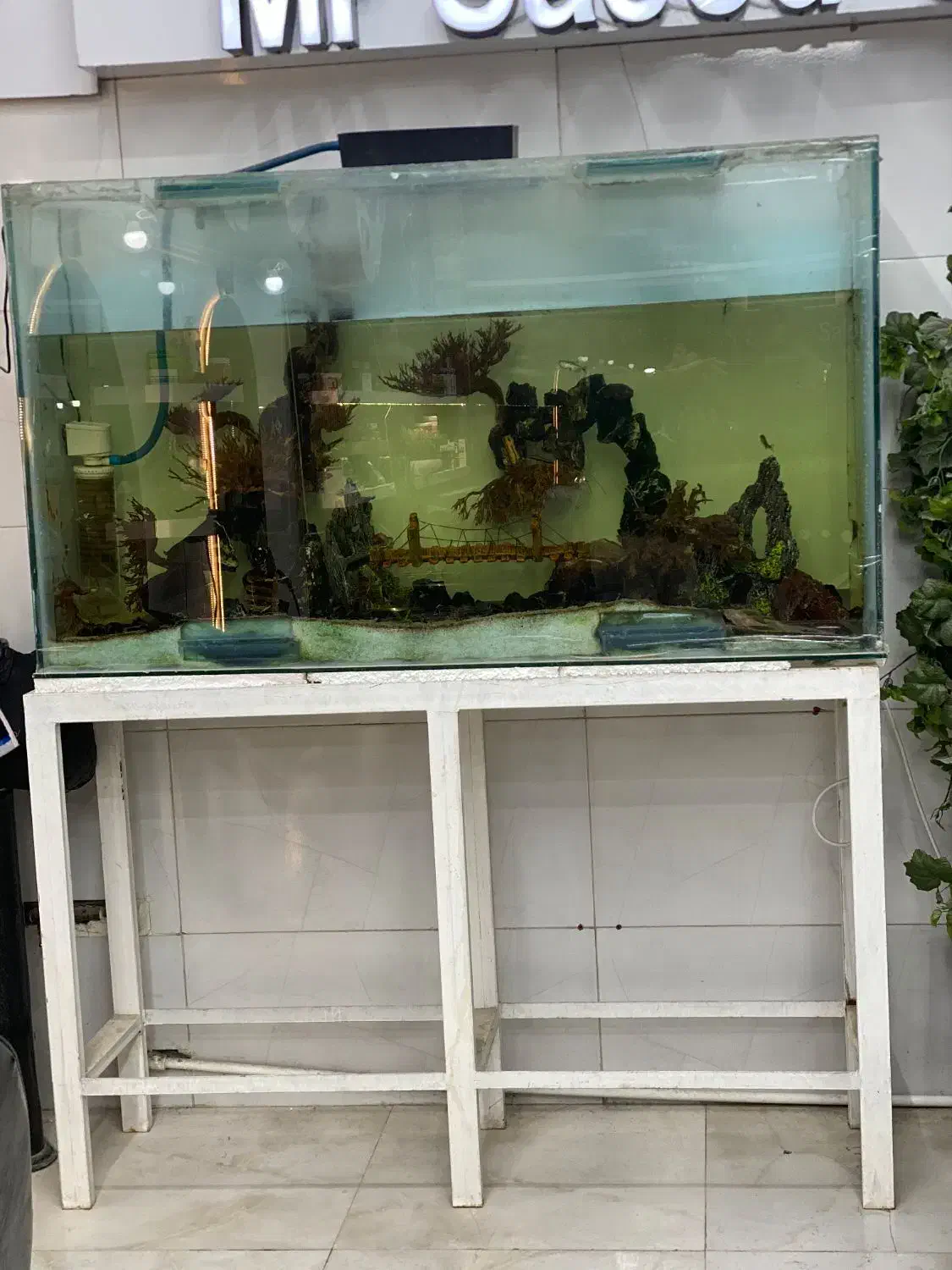 آکواریوم  بزرگ|ماهی|مشهد, شهید قربانی|دیوار