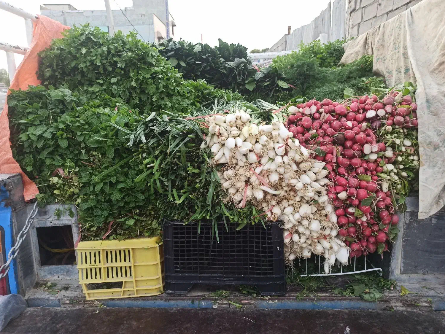 سبزی خورشتی رامهرمز|خوردنی و آشامیدنی|لردگان, |دیوار