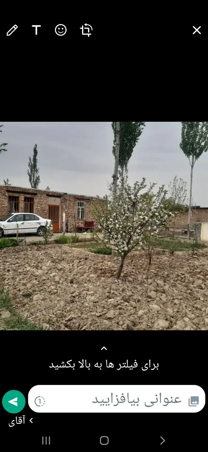 اجاره دامداری ،در نوشین شهر|اجارهٔ دفتر صنعتی، کشاورزی، تجاری|نوشین شهر, |دیوار