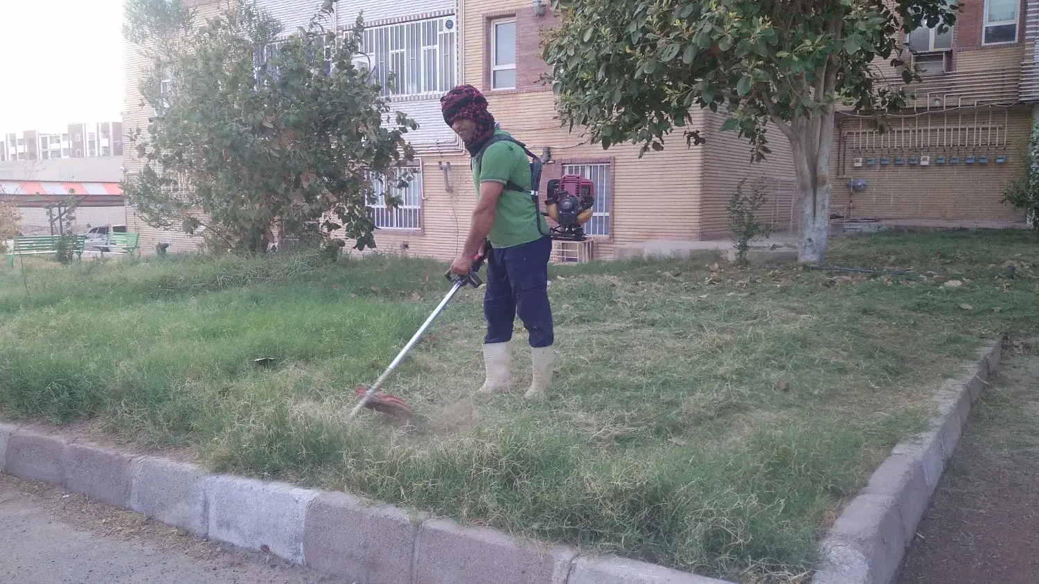 علف زنی|خدمات باغبانی و درختکاری|دزفول, |دیوار