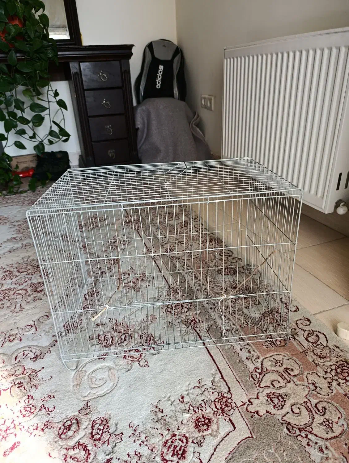 قفس پرنده|لوازم جانبی حیوانات|محمدشهر, شهرک پیام (مهرالبرز)|دیوار