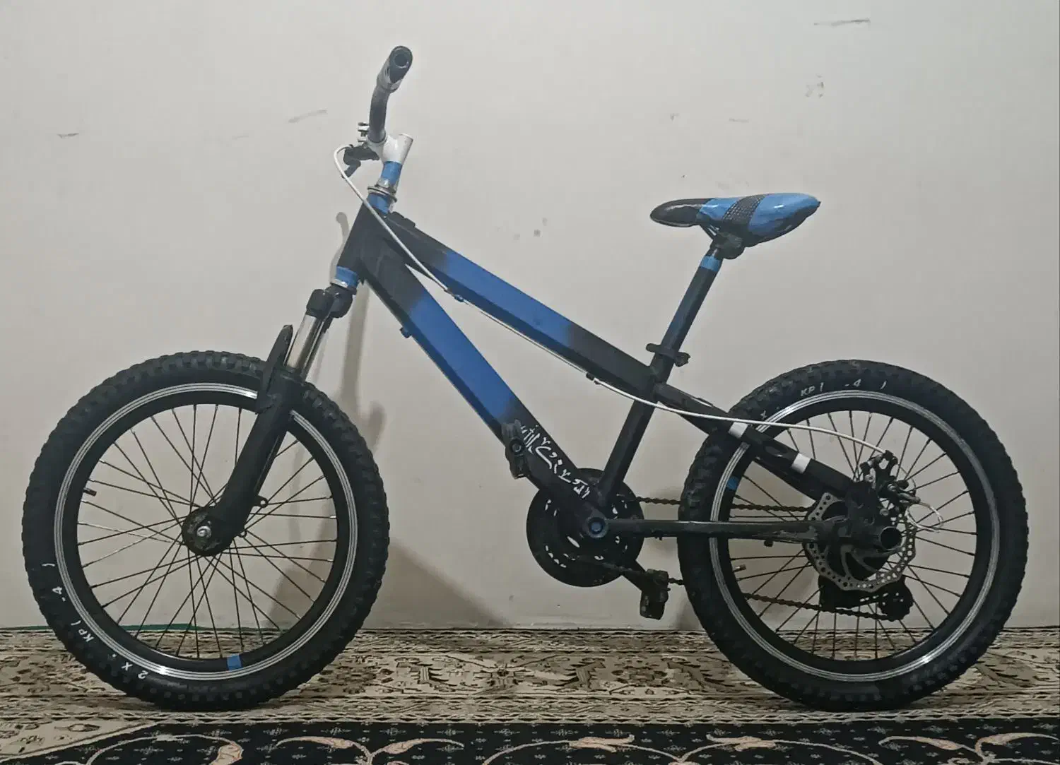 دوچرخه سایز 20|دوچرخه، اسکیت، اسکوتر|شیراز, عادل آباد|دیوار