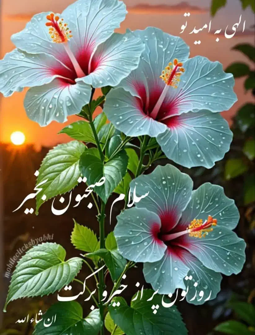 نیاز مند وام ازدواج|خدمات مالی، حسابداری، بیمه|اهواز, آریاشهر|دیوار
