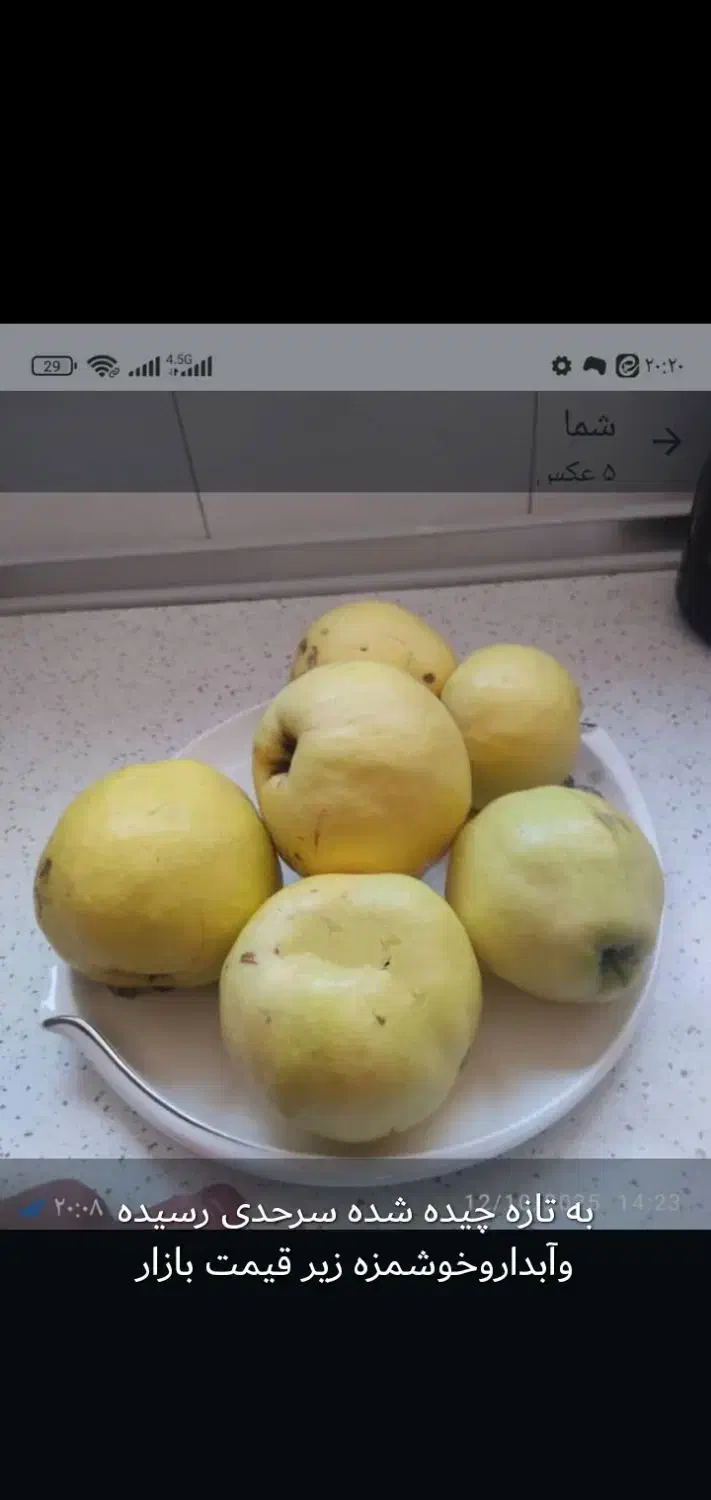 به تازه چیده شده سرحدی|خوردنی و آشامیدنی|لنده, |دیوار