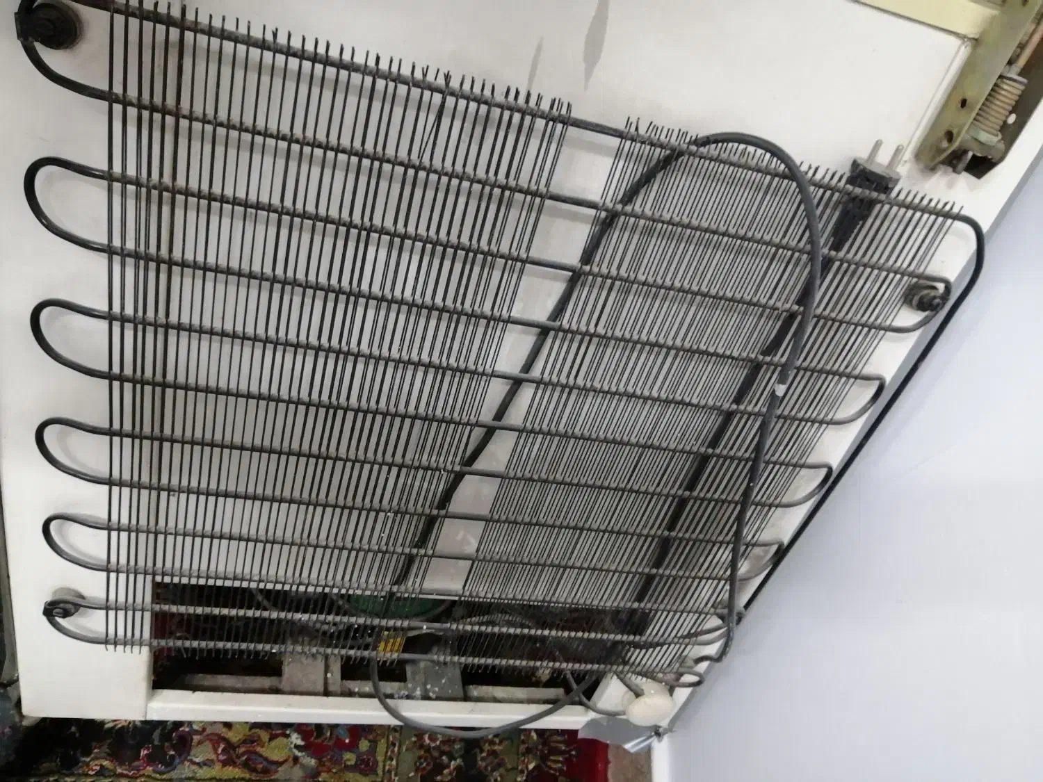 یخچال صندوقی|یخچال و فریزر|مشهد, شیرحصار|دیوار