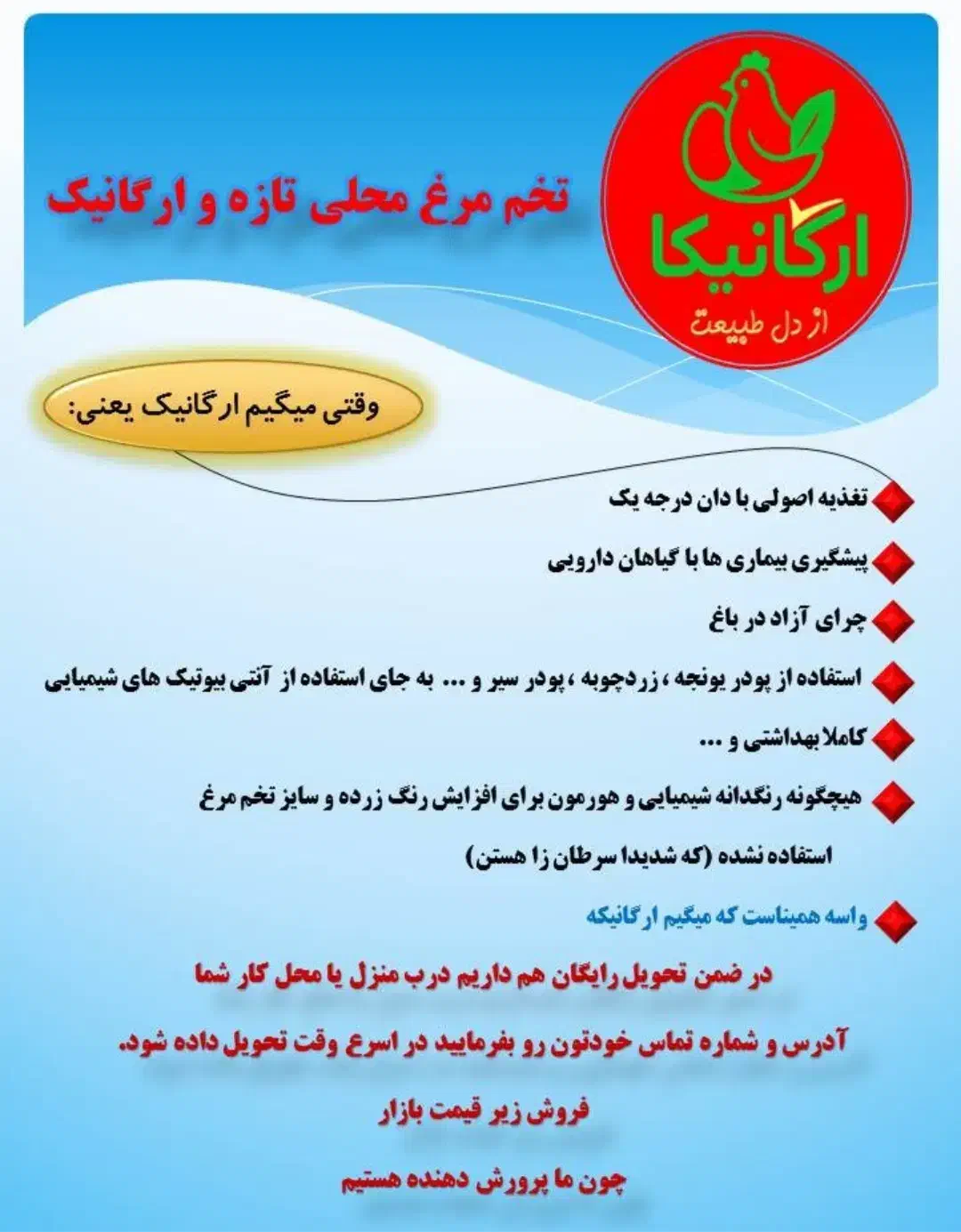 تخم مرغ محلی ارگانیک تحویل رایگان|خوردنی و آشامیدنی|مراغه, |دیوار